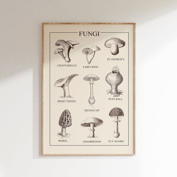 Cartel de estilo vintage, impresión de arte de hongos, decoración de pared de hongos, colgante de pared de cocina, impresión de carteles de biología, regalo de ecología, regalo de amante de los hongos