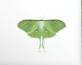 Die-Cut Stickers, Insect stickers, Water-resistant stickers, Luna moth sticker