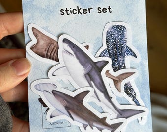 Shark Vinyl Sticker Set, Shark Laptop Decal Bundle, Water-Resistant Ocean Sticker Pack, Matte Sticker For Waterbottle, Shark Lover Gift