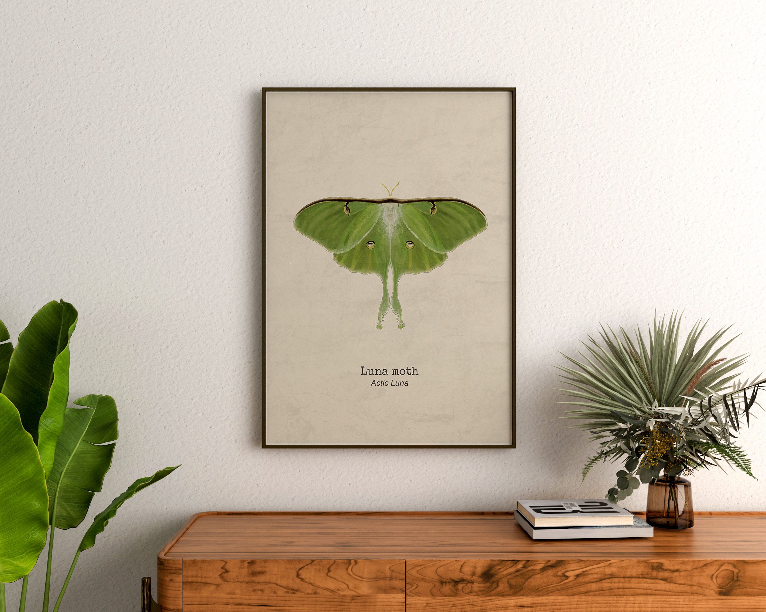 Luna Moth Decor, Butterfly Art Print, Moth Wall Hanging, Luna Moth ...