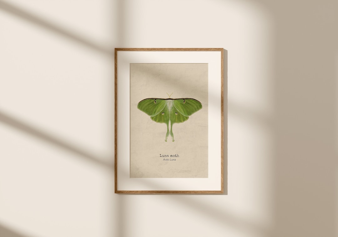 Luna Moth Decor, Butterfly Art Print, Moth Wall Hanging, Luna Moth ...