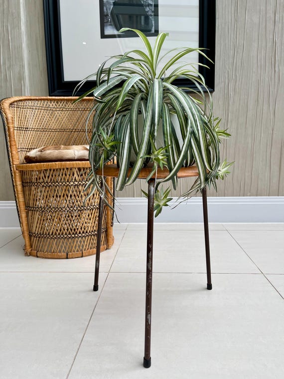 Early Arne Jacobsen Model 3170 Dot Stool for Fritz Hansen Denmark c1950s 1960s