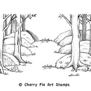 May include: Black and white line drawing of a forest path with trees on either side. The path is in the center of the image and leads to a clearing in the distance. There are small details like rocks and leaves on the ground.