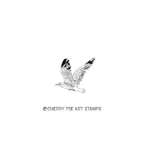 Seagull -bird CLiNG RuBBer STaMP di Cherry Pie C126