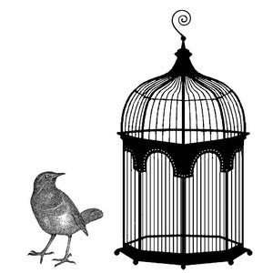 Conjunto vintage CAGE e BIRD de 2 carimbos de borracha R587
