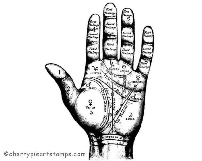 May include: A black and white illustration of a hand with lines and symbols drawn on it. The hand is labeled with the names of planets and lines, such as "Jupiter", "Mars", "Saturn", "Apollo", "Line of Heart", "Line of Head", and "Line of Life".