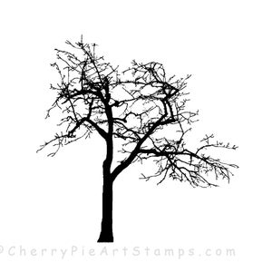 ÁRVORE nua - Outono, outono, inverno cênico - CLiNG Rubber STAMP L355