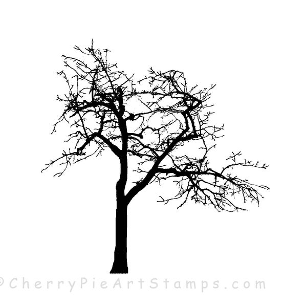 Bare TREE -Autumn, Fall, Winter scenic- CLiNG Rubber STAMP L355