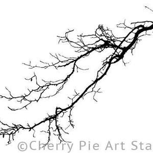 May include: Black and white silhouette of a bare tree branch with many small branches extending out from the main branch.