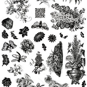 Op de afbeelding: Zwart-witte vintage-stijl illustraties van bloemen, vlinders, libellen en andere natuur-geïnspireerde ontwerpen. De illustraties zijn perfect voor scrapbooking, kaart maken en andere knutselprojecten.