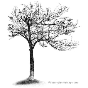May include: Black and white line drawing of a bare tree with branches reaching out to the right. The tree is silhouetted against a white background.