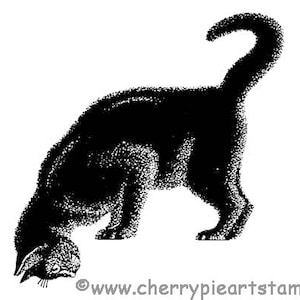 Curioso carimbo de borracha BLACK CAT- CLING da Cherry Pie Q442