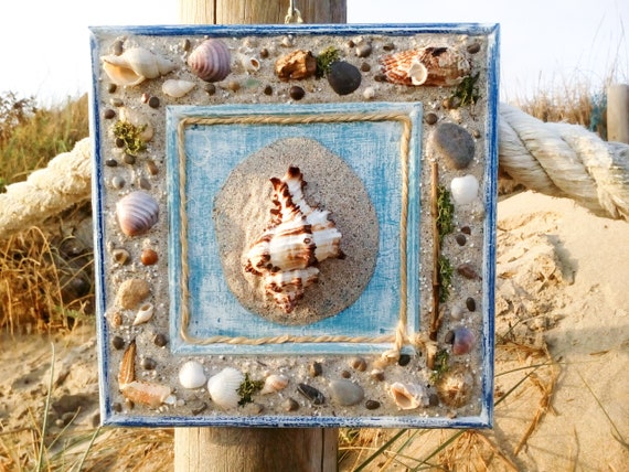 Sea Shell Wall Art For Beach Office Decor Coastal Living Etsy
