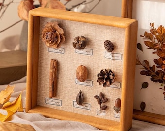May include: A wooden framed display case featuring various natural elements. The case contains a pine cone, a cinnamon stick, a nut, and other dried botanical items. The frame is made of light-colored wood, and the background is a neutral fabric.