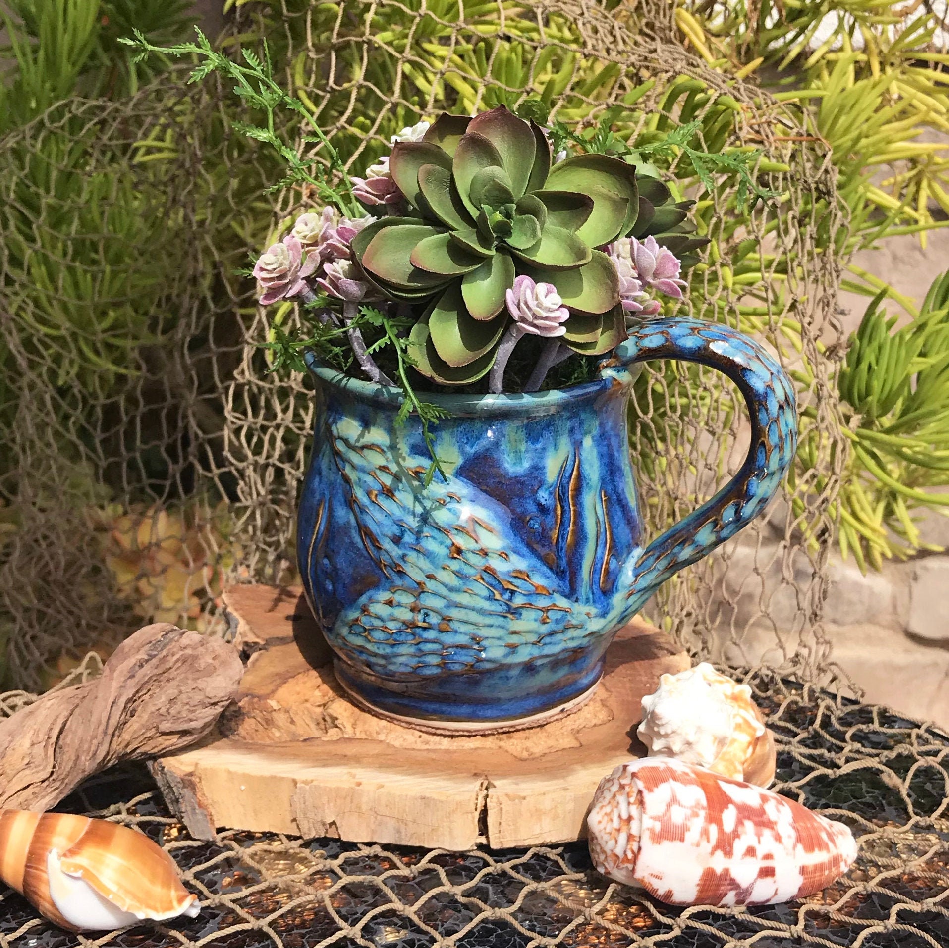 mermaid succulent