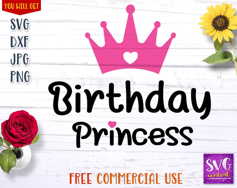 Download Birthday Svg Svg Svg File For Silhouette Iron On Birthday Shirt Svg Svg Party Svg Birthday Princess Svg Png Svg Cutting Files Dxf Clip Art Art Collectibles Kromasol Com