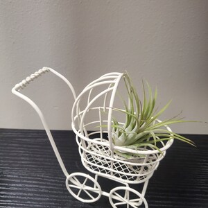 Mini Stroller with Airplant