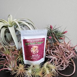 Airplants /Bromeliad/ Tilly Boost 4 oz.