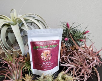 Airplants /Bromeliad/ Tilly Boost 4 oz.