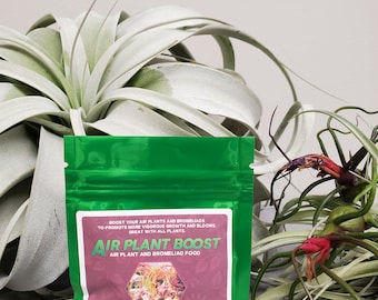 Airplant Boost/Fertilizante-2 oz.
