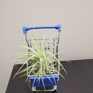 Miniature Shopping Cart with Airplants
