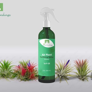 Puede incluir: Una botella verde de spray fertilizante para plantas de aire con una boquilla de pulverización blanca. La etiqueta de la botella dice "Plant Findings Air Plant Fertilizing Spray Weekly 16-9-25 8 oz. (236 ml)".