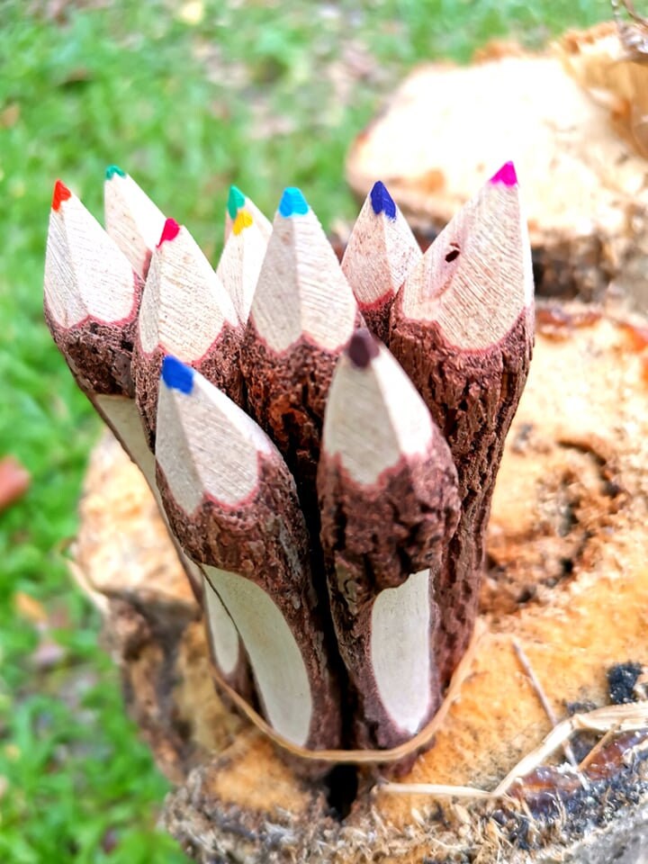 Pencils Colored Wood Pencils Color Pencils Rustic Pencils Gift Etsy