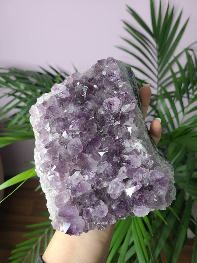 LARGE 2 KG Amethyst Cluster