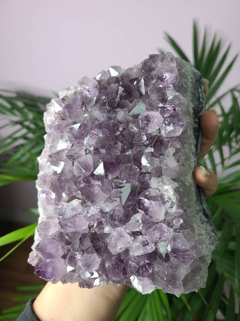 LARGE 2 KG Amethyst Cluster