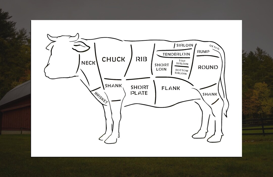 Beef Cuts Reusable Stencil (many Sizes) - Etsy