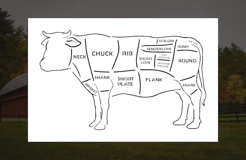 Beef Cuts Reusable Stencil many Sizes - Etsy