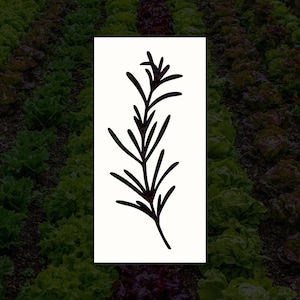 Rosemary Plant Herb Reusable Stencil (Many Sizes)