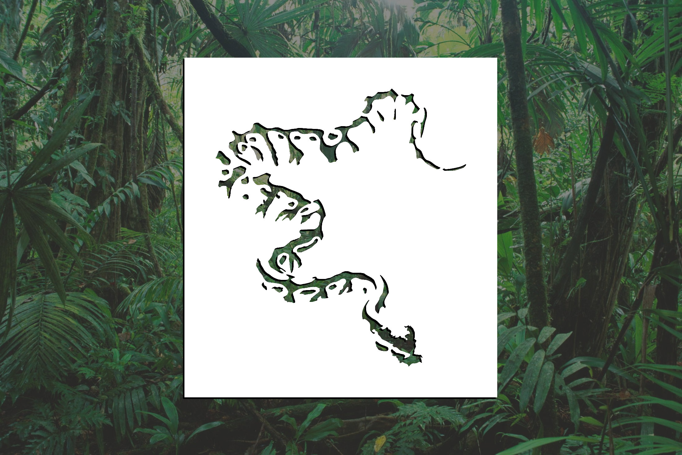Ball Python Reusable Stencil (many Sizes) - Etsy
