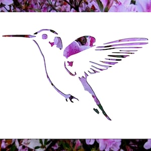 Peel N' Etch Stencil-Hummingbird #0751/P7