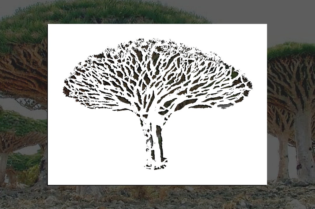 Dragon's Blood Tree Reusable Stencil (many Sizes) - Etsy
