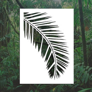 Curved Palm Frond Reusable Stencil (Many Sizes)