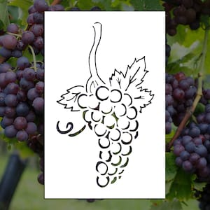 May include: A black and white line drawing of a bunch of grapes with a leaf and stem. The grapes are arranged in a cluster and the stem is curled at the bottom.