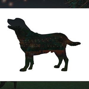May include: Silhouette of a black dog with a white background. The dog is standing with its head turned to the left.