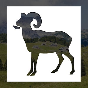 Bighorn Sheep Reusable Stencil (Many Sizes)