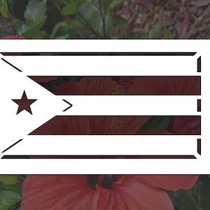Flag of Puerto Rico Reusable Stencil (Many Sizes)