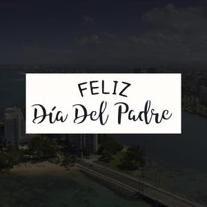 Feliz Dia Del Padre (Happy Father&#39;s Day) Reusable Stencil (Many Sizes)