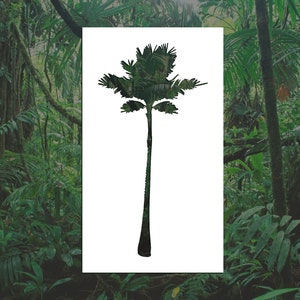 Royal Palm Tree Reusable Stencil (Many Sizes)