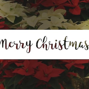 Merry Christmas Reusable Stencil (Many Sizes)
