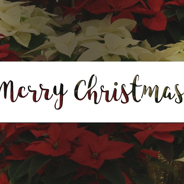 Merry Christmas Reusable Stencil (Many Sizes)