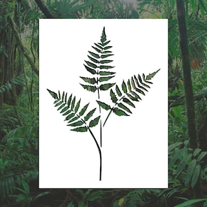 Fern Reusable Stencil (Many Sizes)