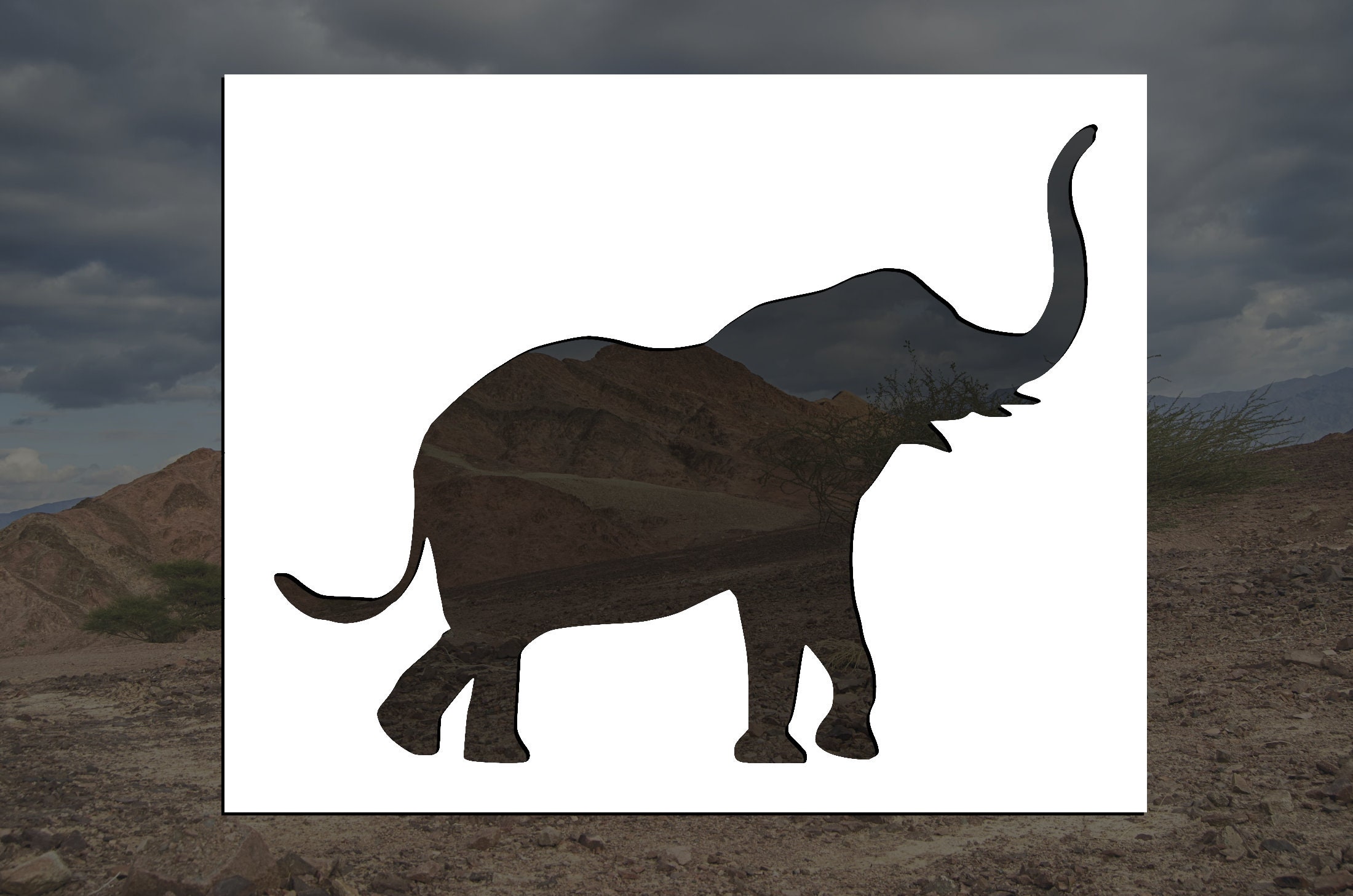 89-00088 Elephant Safari Animal Stencil