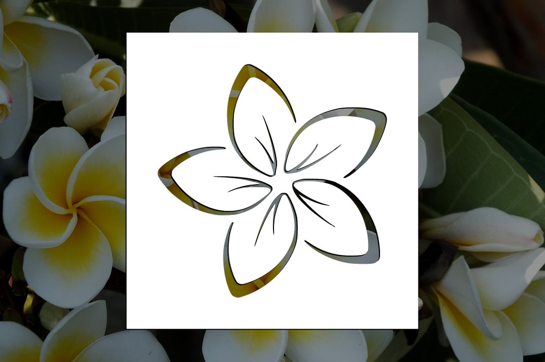 Plumeria Flower Reusable Stencil (many Sizes) - Etsy