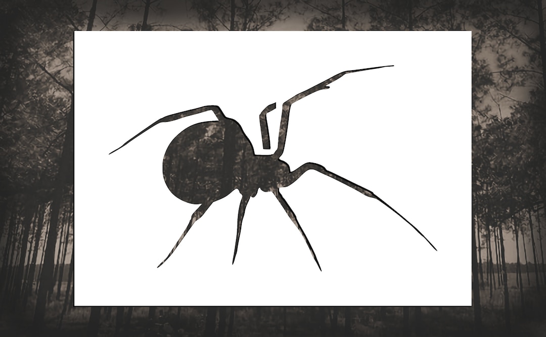 Black Widow Spider Reusable Stencil many Sizes - Etsy