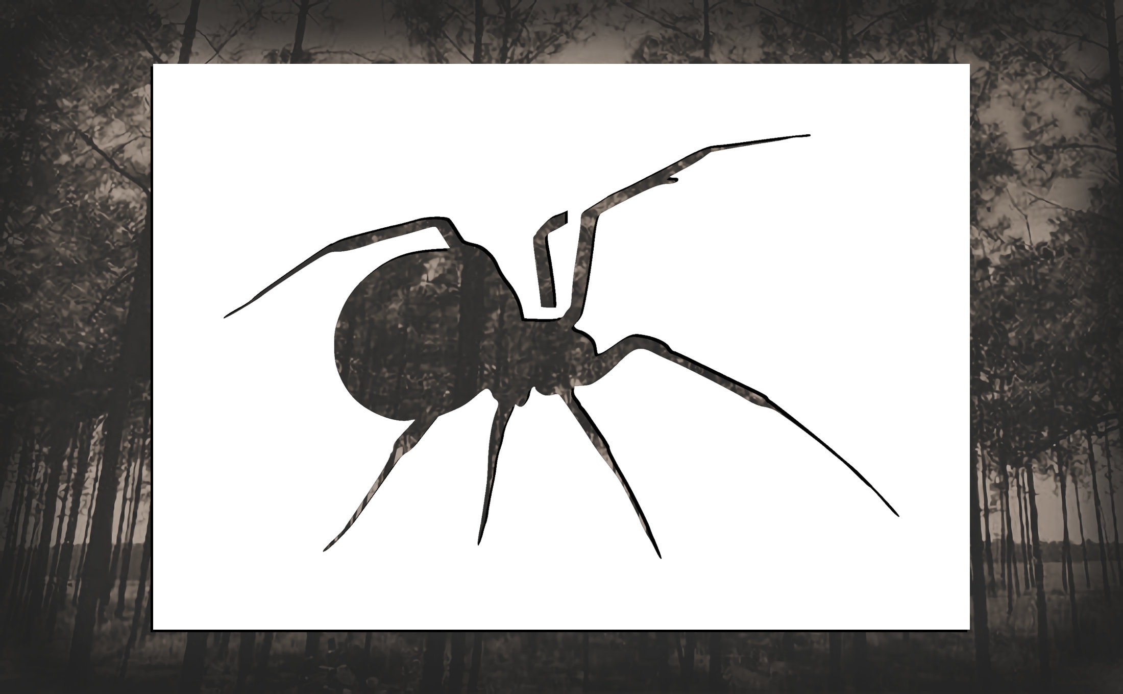 Black Widow Spider Stencils