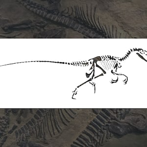 May include: Black and white line drawing of a dinosaur skeleton. The dinosaur is depicted in a running pose with its head held high. The skeleton is detailed and includes all of the major bones.
